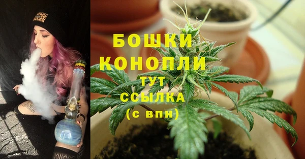 каннабис Богданович