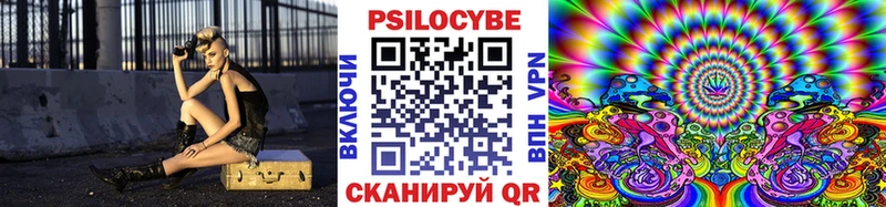 наркотики  Ершов  Псилоцибиновые грибы Magic Shrooms 